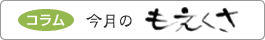 コラム今月の「もえくさ」